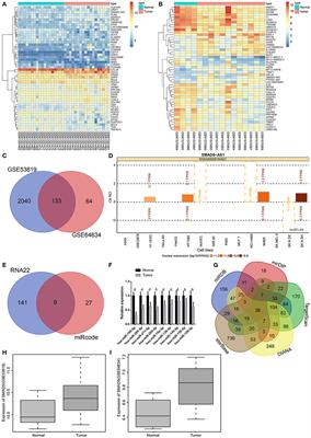 Silencing of Long Non-coding RNA SMAD5-AS1 Reverses Epithelial Mesenchymal Transition in Nasopharyngeal Carcinoma via microRNA-195-Dependent Inhibition of SMAD5